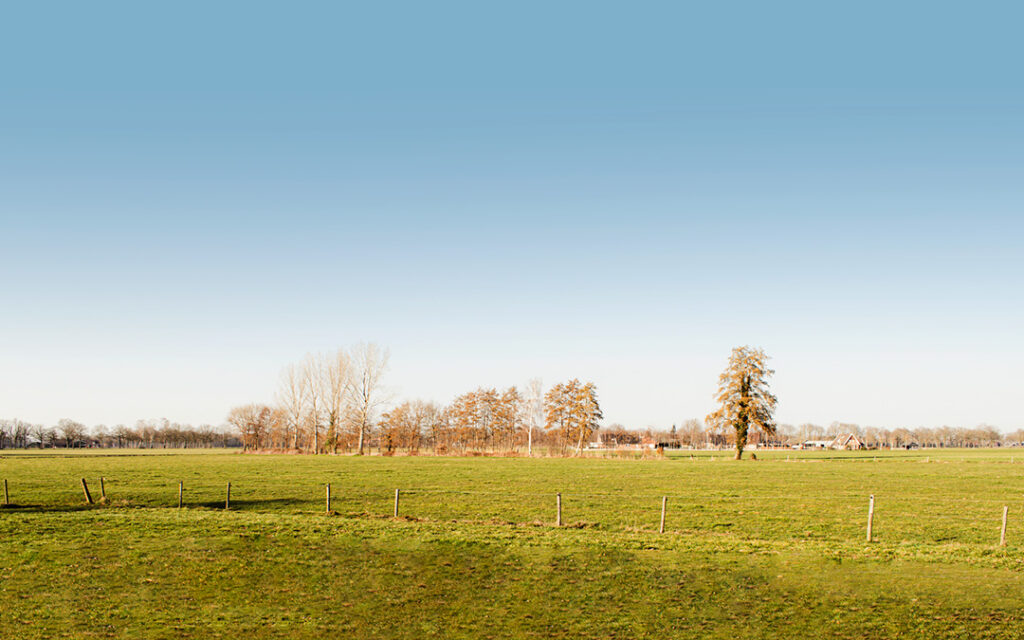 Genieten van een prachtig vrij uitzicht over de weilanden en het Achterhoekse coulisselandschap.